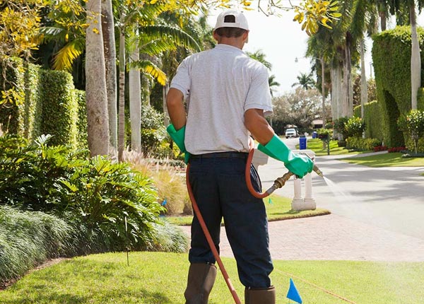About Elkland MO Pest Control